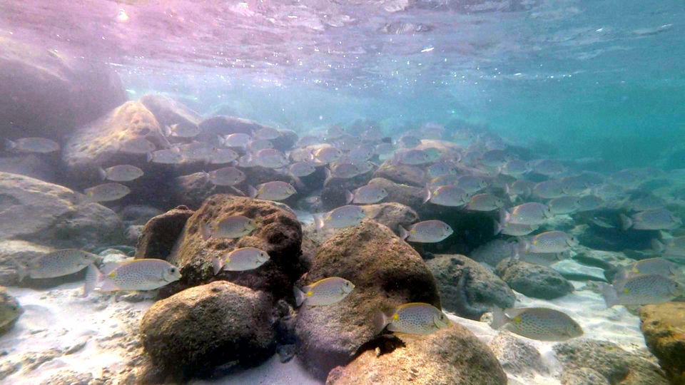 Photo of Koh Kut-The Hidden Gem of Thailand 2/5 by The Spirited Travelers