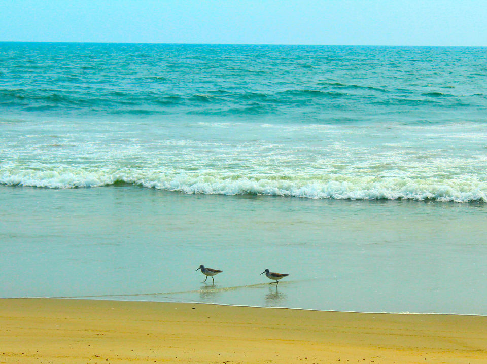 Photo of Betul-Goa’s Best Kept Secret 5/8 by The Spirited Travelers