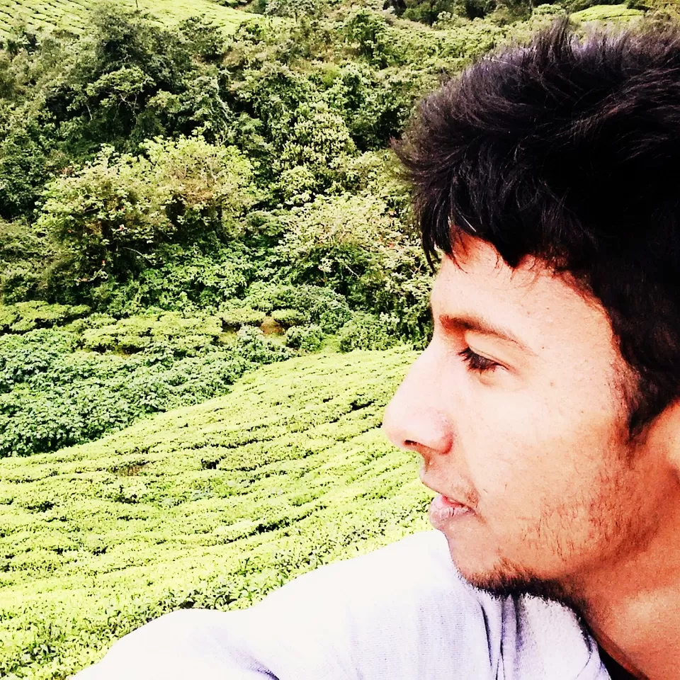 Photo of Kanan Devan Hills Plantations Company (P) Limited Sales Outlet, Munnar, Kerala, India by Pavan Chakravarthy