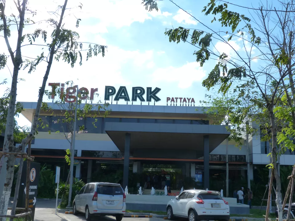 Photo of Tiger Park - Pattaya, Pattaya City, Bang Lamung District, Chon Buri, Thailand by The Intrigued Traveller