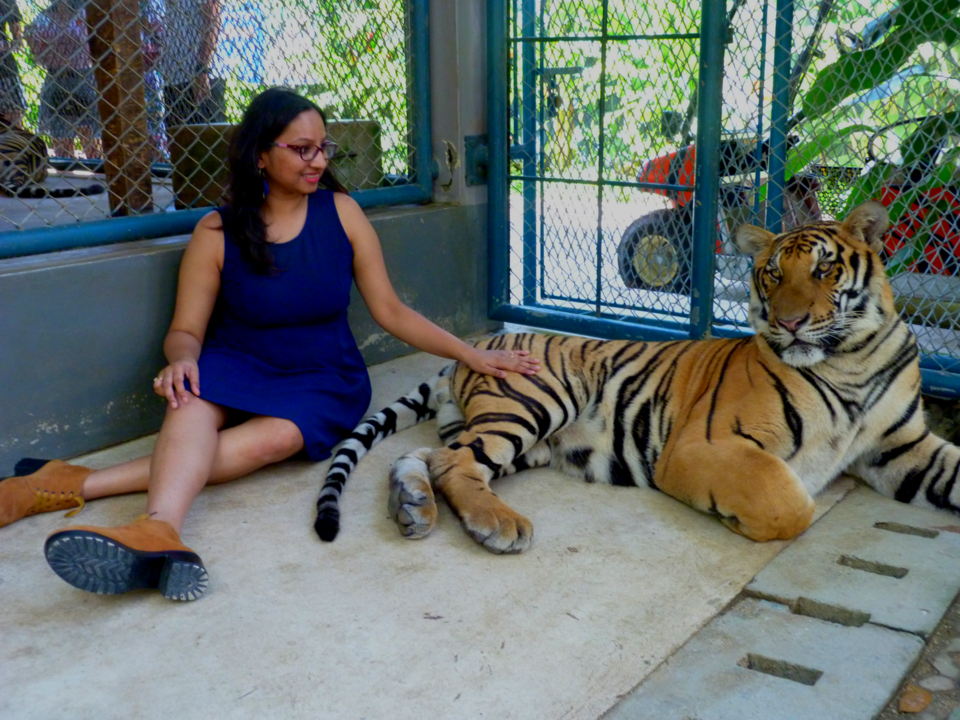 Photo of Living the lustful life, far away from the country. #thailandinpictures by The Intrigued Traveller