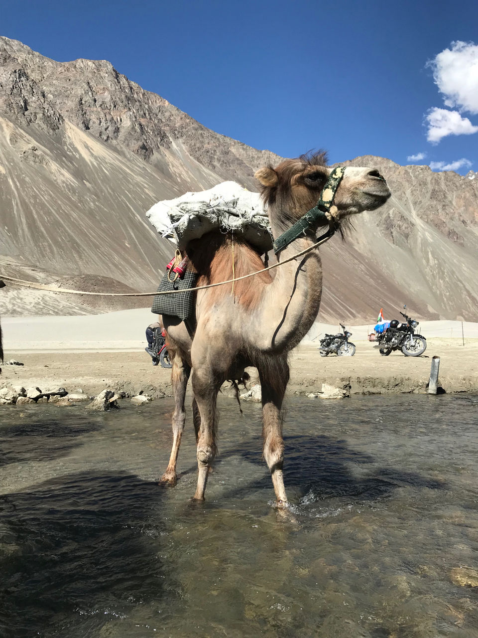 Photo of 12 Days Life Changing Experience #travelscam by Divya (Musafir_Kanya)