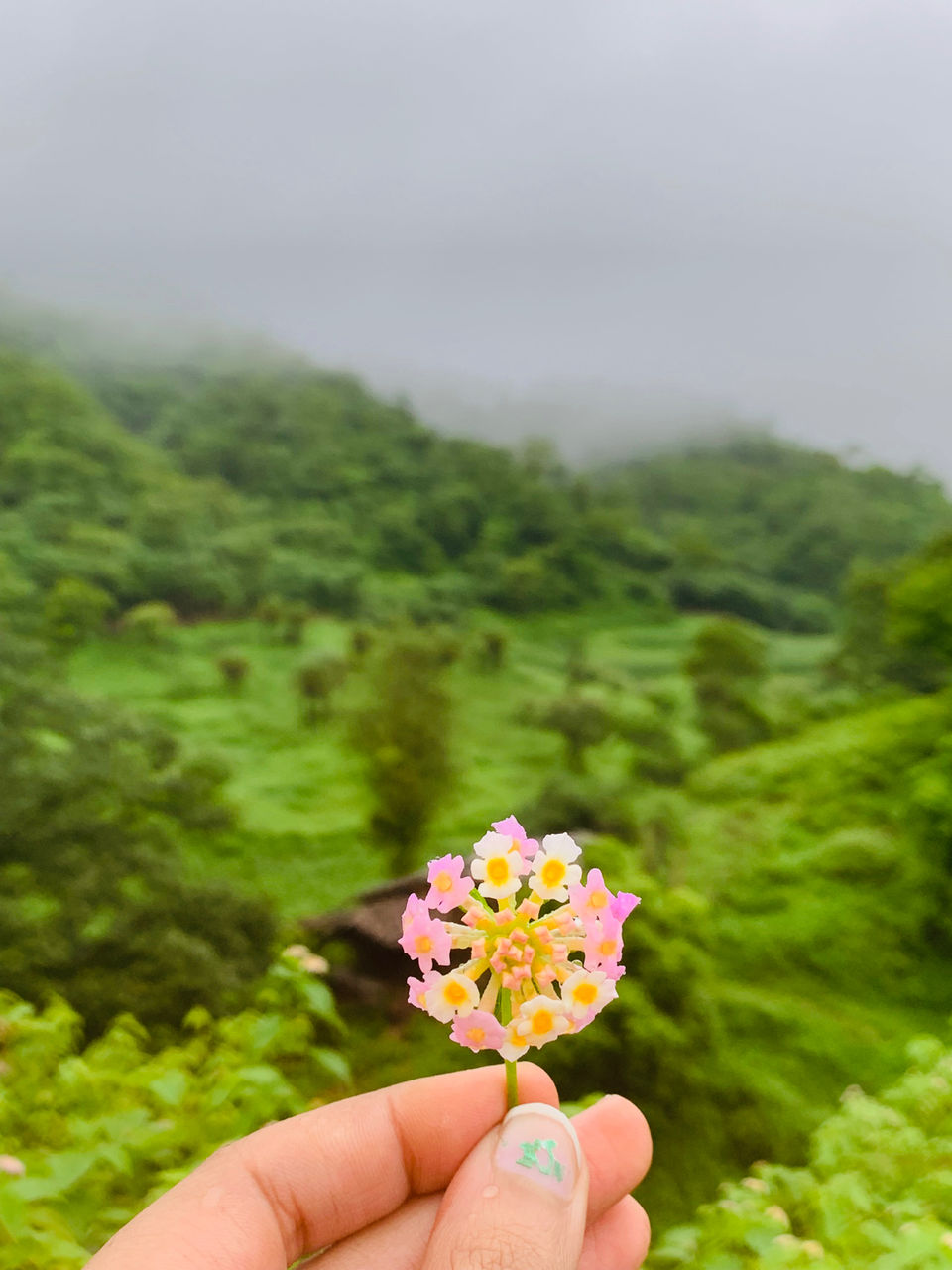 Photo of Rajasthan, India by Divya (Musafir_Kanya)