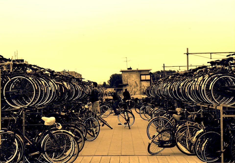 Photo of Experience -An unknown friend and me: Netherlands 3/9 by Shubham Shukla