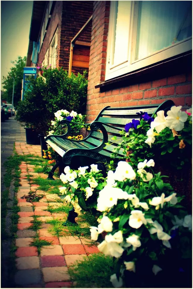 Photo of Haarlem, Netherlands by Shubham Shukla
