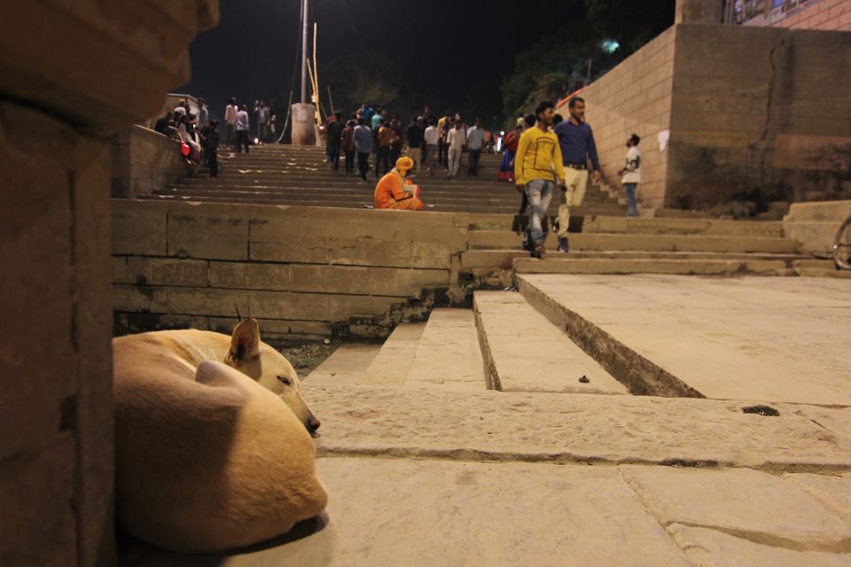 Photo of Banaras: Circle of Life 8/15 by Shubham Shukla