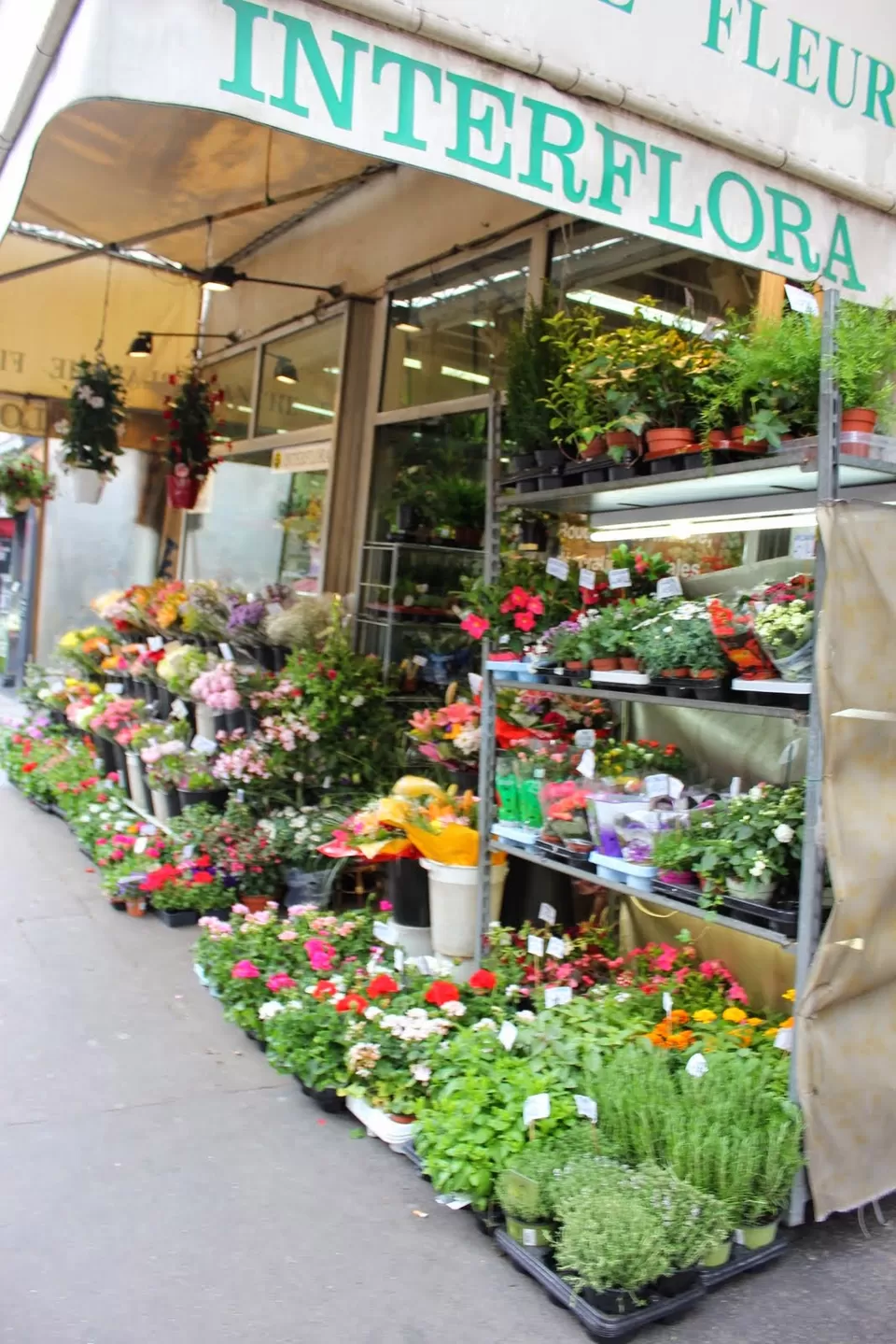 Photo of Paris, France by Shubham Shukla