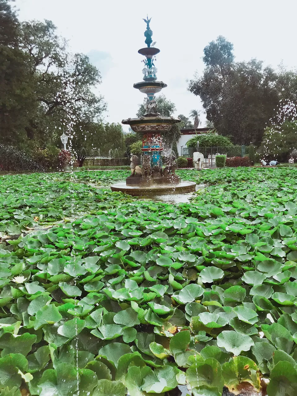 Photo of Udaipur, Rajasthan, India by Geetanjali Mukherjee