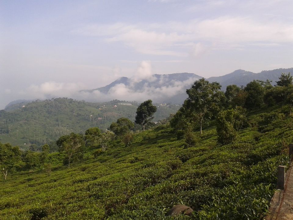 Photo of Kotagiri beckons #offbeatplace by Divya Sainathan