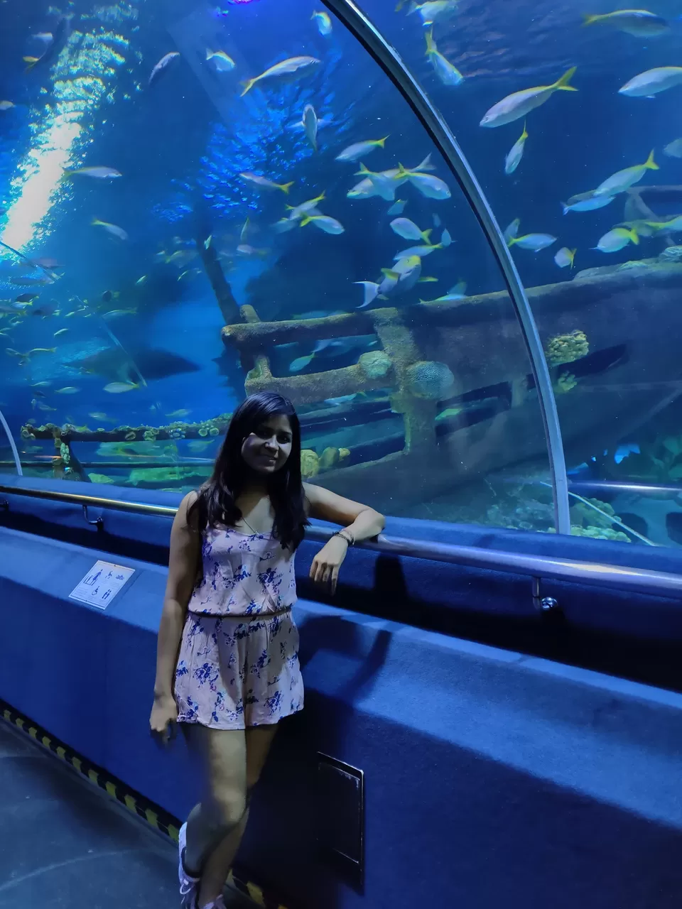 Photo of Aquaria KLCC, Jalan Pinang, Kuala Lumpur City Centre, Kuala Lumpur, Federal Territory of Kuala Lumpur, Malaysia by Pratibha Yadav