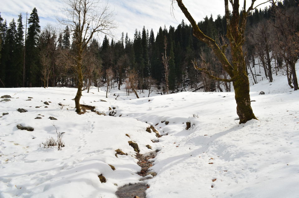 Photo of Winter trek to Kedarkantha Summit 9/21 by Priyank Badola