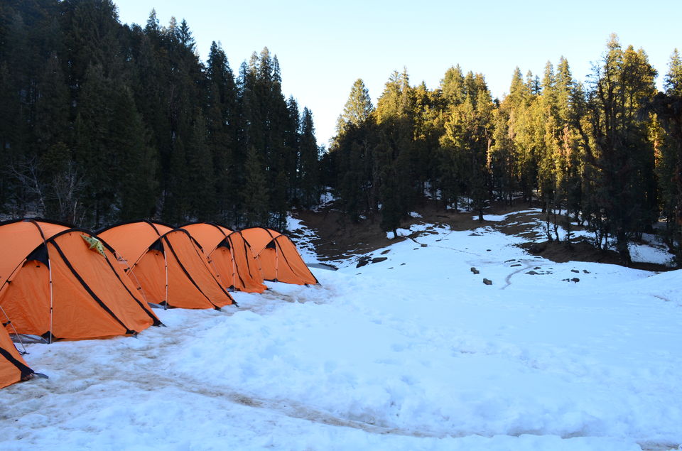 Photo of Winter trek to Kedarkantha Summit 12/21 by Priyank Badola