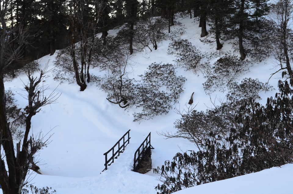Photo of Winter trek to Kedarkantha Summit 18/21 by Priyank Badola
