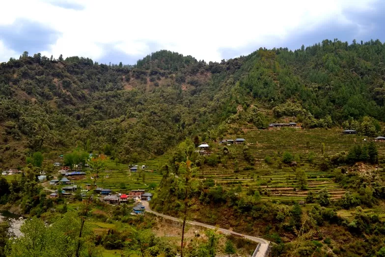 Photo of Barot Valley Road, Himachal Pradesh, India by Hartej Singh