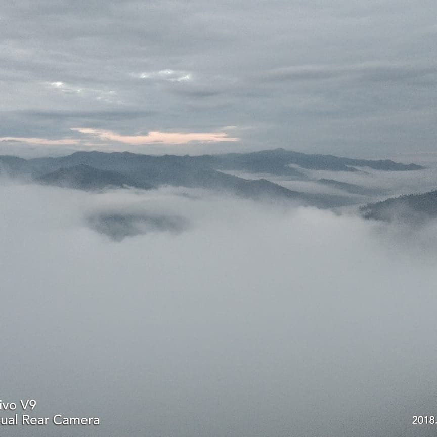 Photo of Binsar in July 2018 2/6 by Hartej Singh