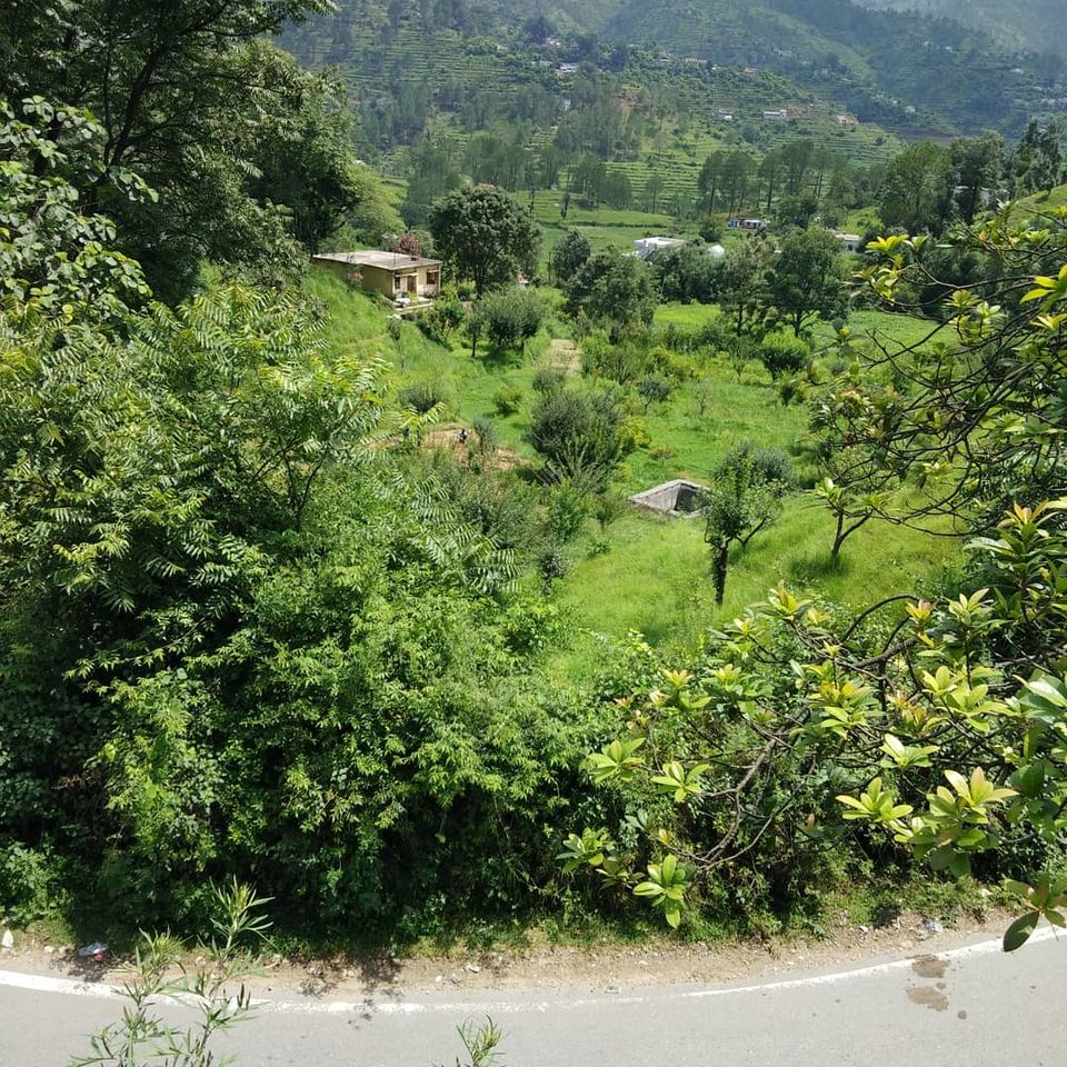 Photo of Binsar in July 2018 3/6 by Hartej Singh