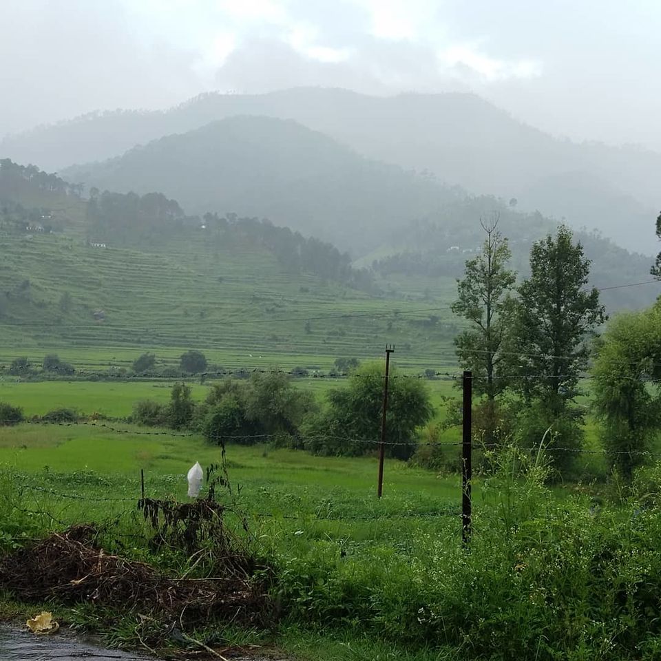Photo of Binsar in July 2018 5/6 by Hartej Singh