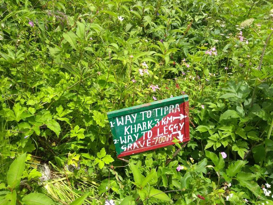 Photo of Valley of Flowers | Aug 2019 by The Himalayan Boy