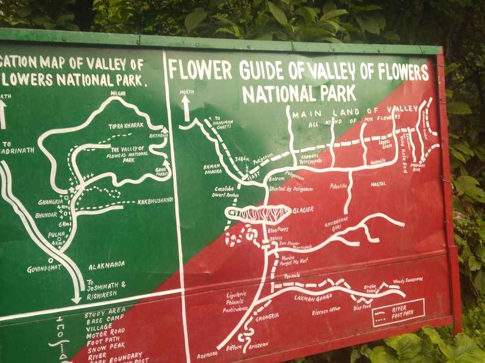 Photo of Valley of Flowers | Aug 2019 by The Himalayan Boy