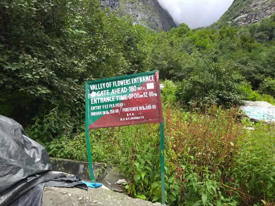 Photo of Valley of Flowers | Aug 2019 by The Himalayan Boy