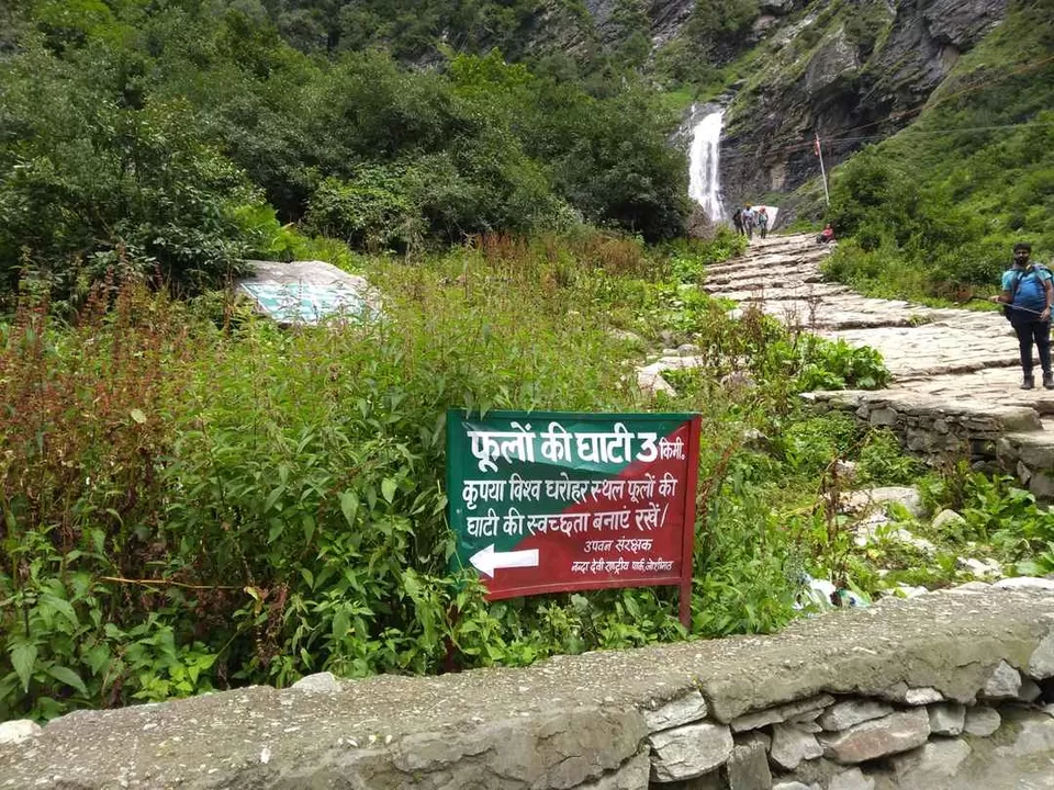 Photo of Valley of Flowers | Aug 2019 by The Himalayan Boy
