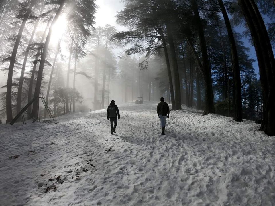 Photo of Patnitop by The Himalayan Boy