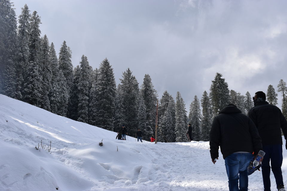 Photo of WINTERS OF NARKANDA | JAN. 2019 | HIMALAYAN BOYS 6/6 by The Himalayan Boy