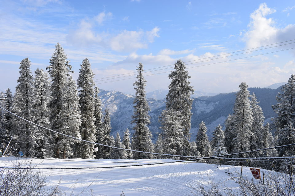 Photo of WINTERS OF NARKANDA | JAN. 2019 | HIMALAYAN BOYS 3/6 by The Himalayan Boy