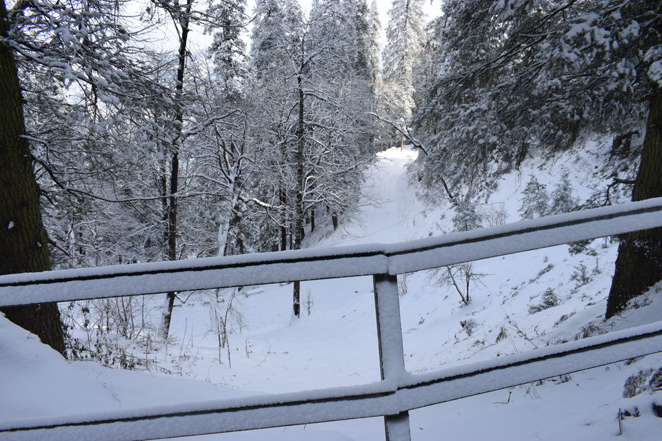 Photo of WINTERS OF NARKANDA | JAN. 2019 | HIMALAYAN BOYS 5/6 by The Himalayan Boy