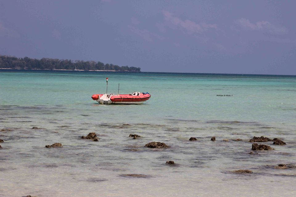 Photo of Havelock Island, South Andaman, Andaman and Nicobar Islands, India by Mahesh Pawal