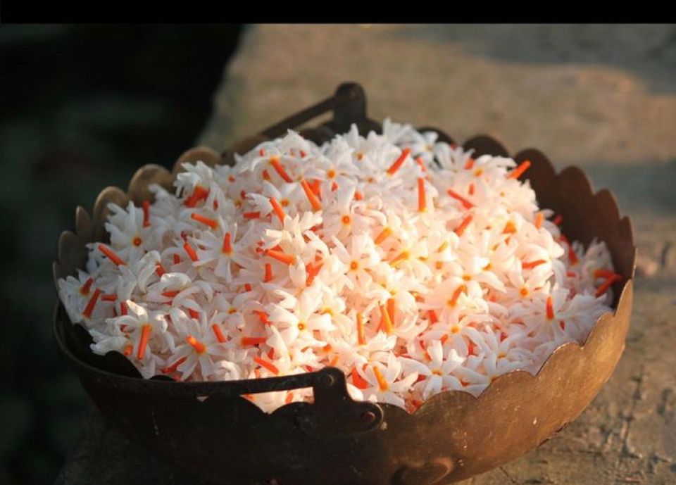 Photo of Assam, India by Palakshi Goswami