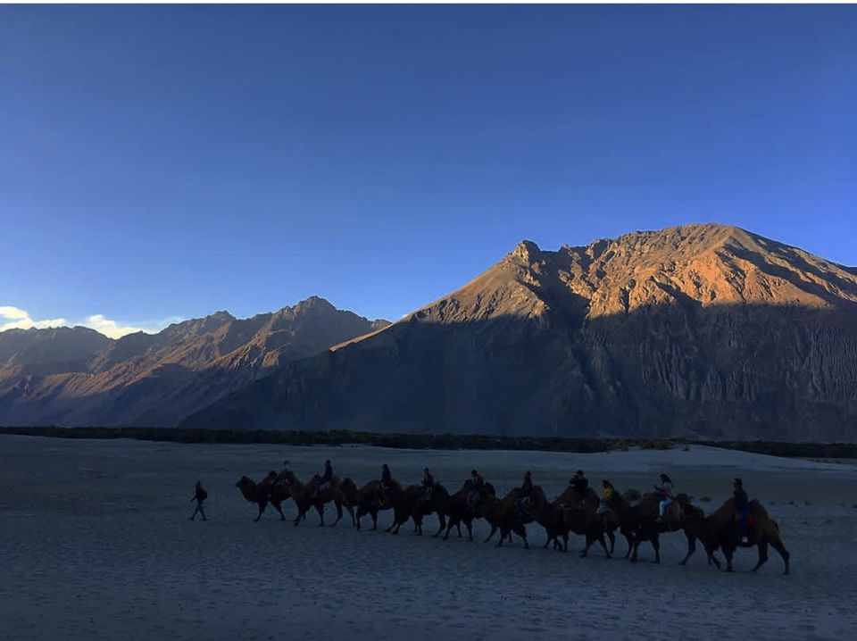 Photo of Nubra Valley by Palakshi Goswami