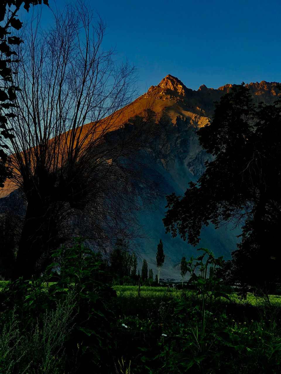 Photo of Nubra Valley by Palakshi Goswami