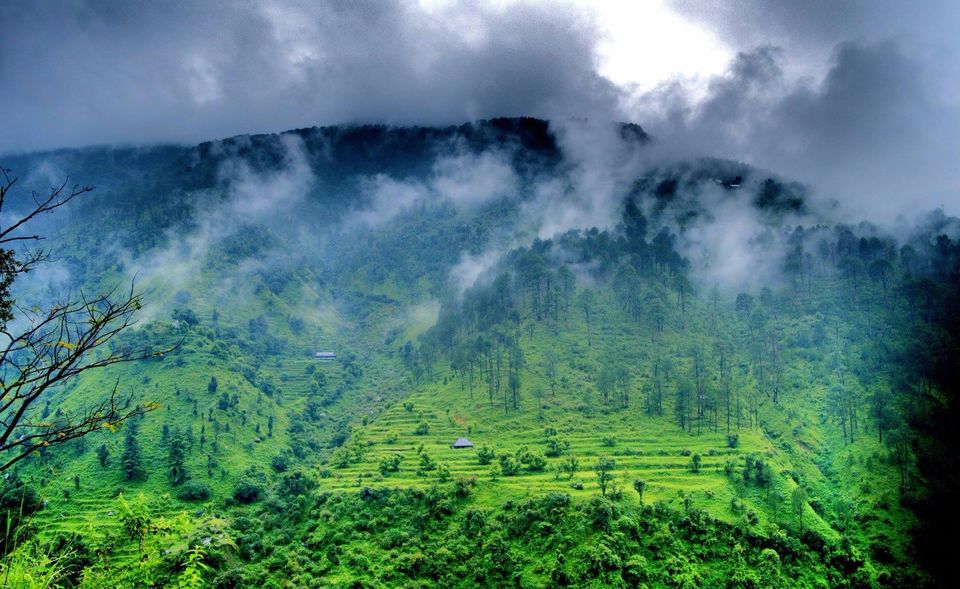Photo of When I Found A Green Dream in Himachal 1/1 by Palakshi Goswami