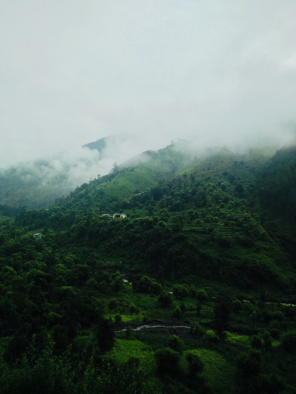 Photo of Baggi, Himachal Pradesh, India by Palakshi Goswami