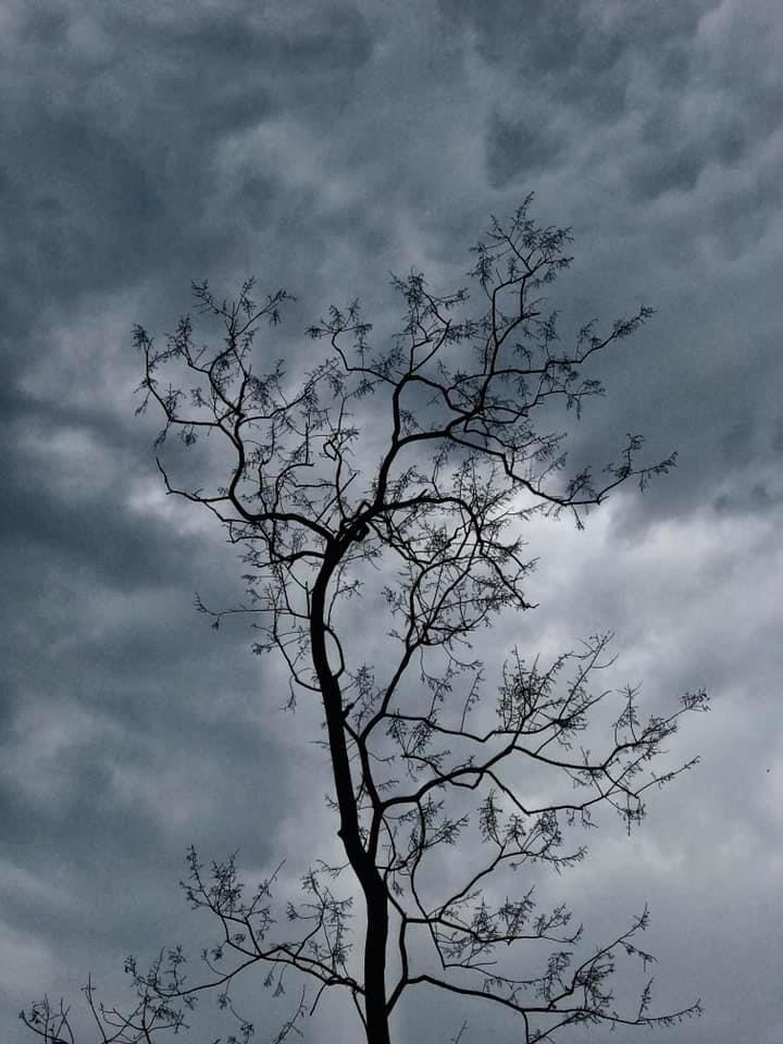 Photo of Dergaon, Assam, India by Palakshi Goswami
