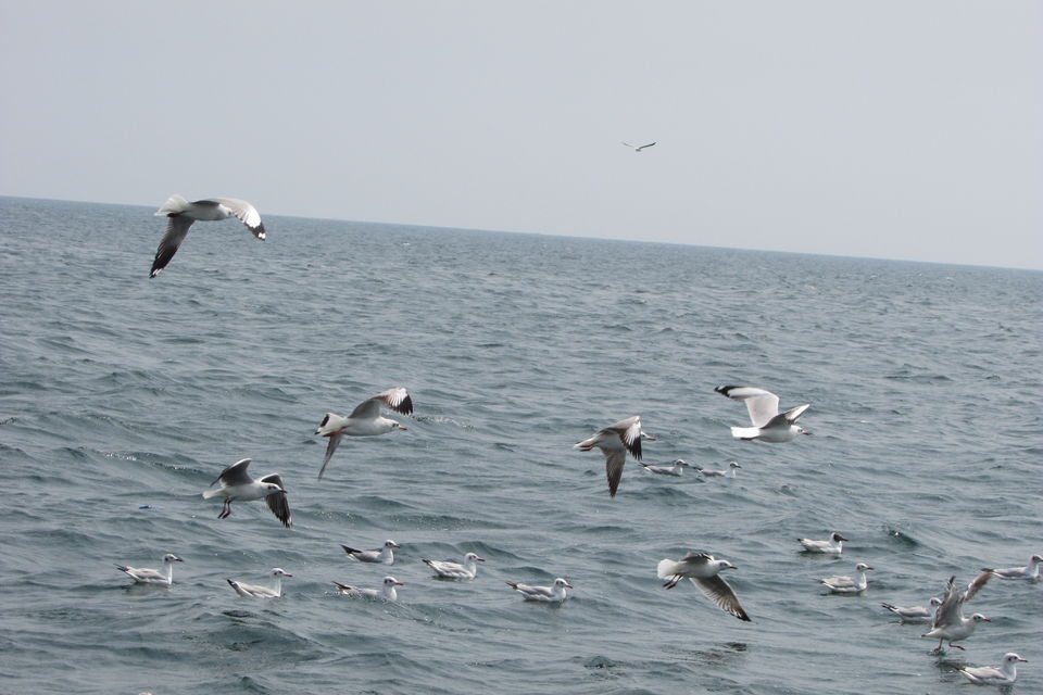 Photo of Visakhapatnam, Andhra Pradesh, India by Anubhab
