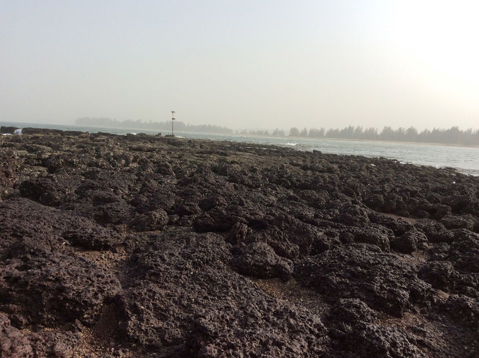 Photo of Tondavali, Malvan, Maharashtra, India by Balamurali Rengasami