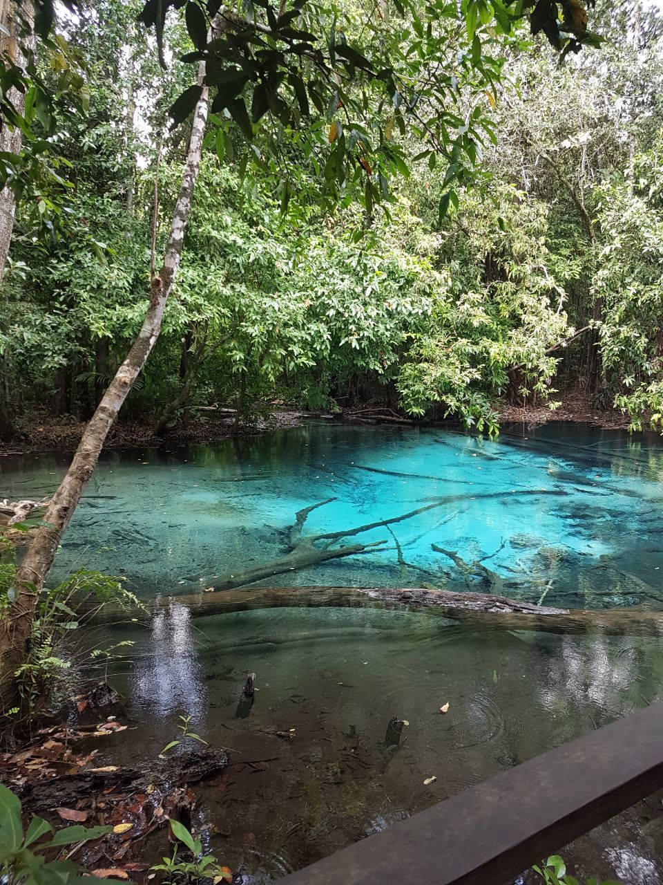 Photo of A week in Krabi - Of relaxation and freedom by shreya shively
