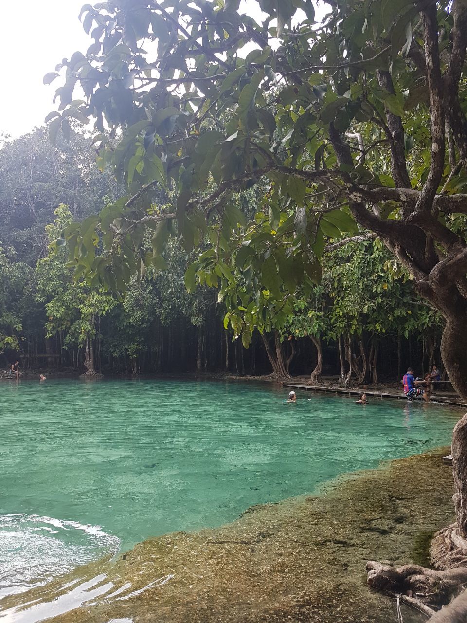 Photo of A week in Krabi - Of relaxation and freedom by shreya shively