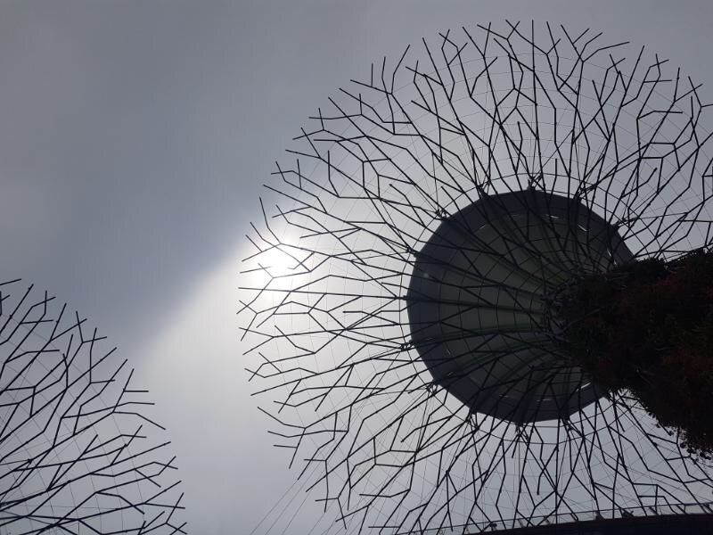 Photo of 6 Must-see things in Singapore! 17/19 by shreya shively