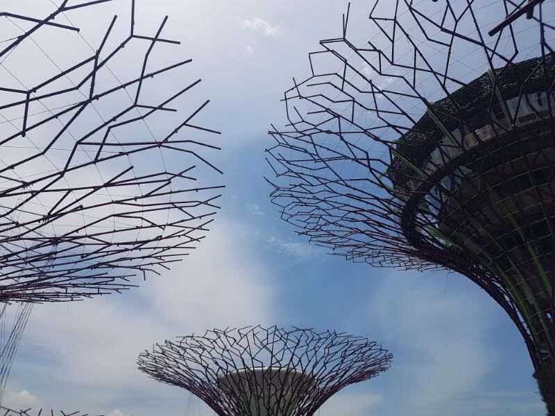 Photo of 6 Must-see things in Singapore! 18/19 by shreya shively