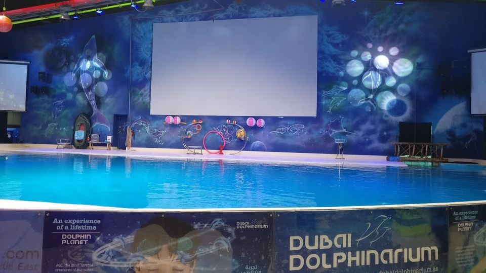 Photo of Dubai Dolphinarium - Dubai - United Arab Emirates by Travel Tales