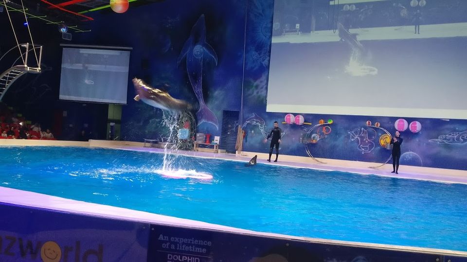Photo of Dubai Dolphinarium - Dubai - United Arab Emirates by Travel Tales