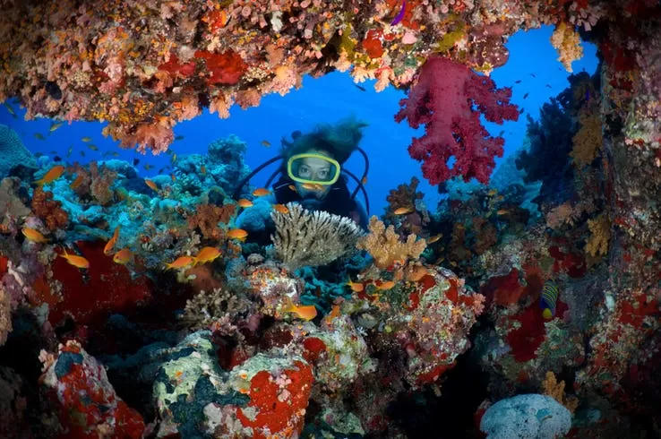 Photo of Red Sea by Travel Tales