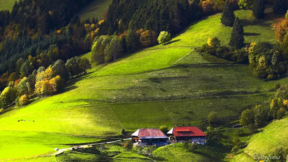 Photo of Black Forest, Germany by Travel Tales