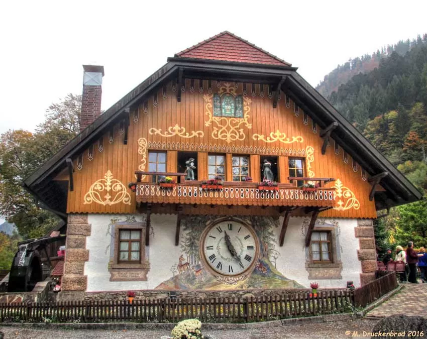 Photo of Black Forest, Germany by Travel Tales