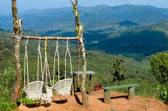 Photo of Trip to Thangaali Homestay, Karnataka by Travel Tales