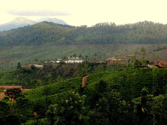 Photo of Trip to Thangaali Homestay, Karnataka by Travel Tales