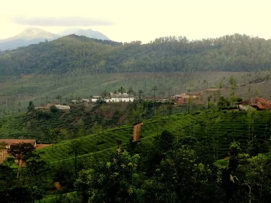 Photo of Trip to Thangaali Homestay, Karnataka by Travel Tales